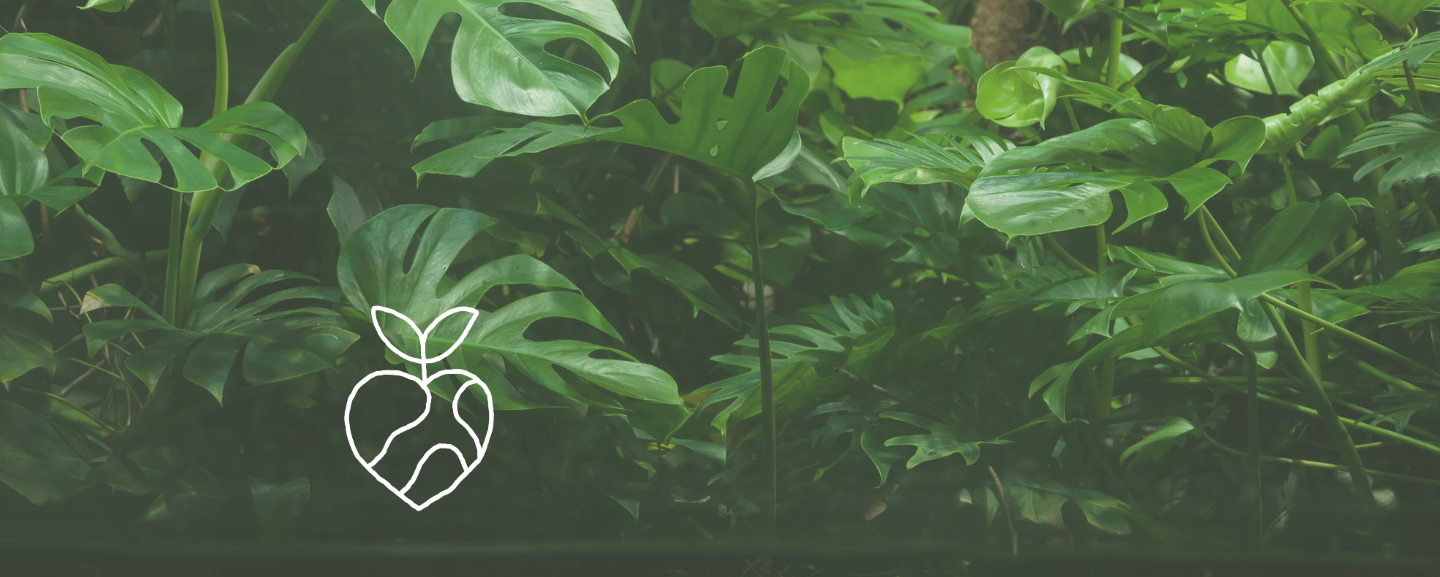 Lush green Monstera leaves overlap, creating a dense jungle-like environment. In the foreground, a simple white line drawing of a plant emerges, adding an artistic element.